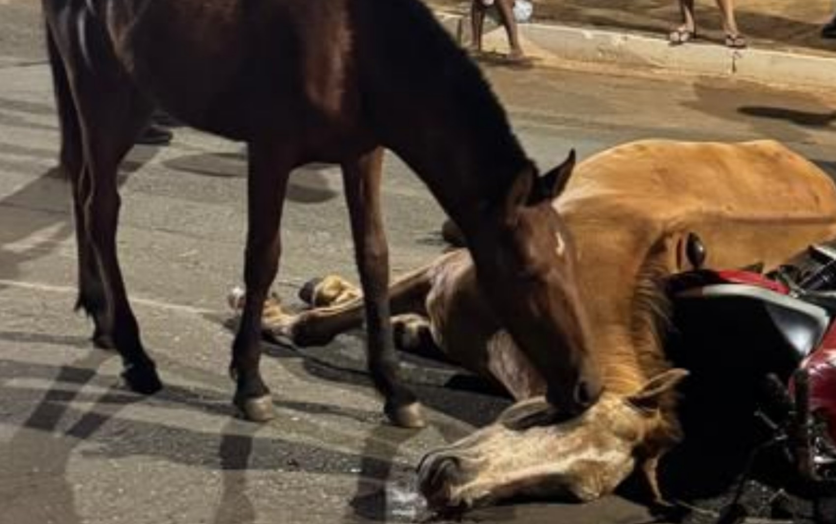 foto Notícia Caldas Novas