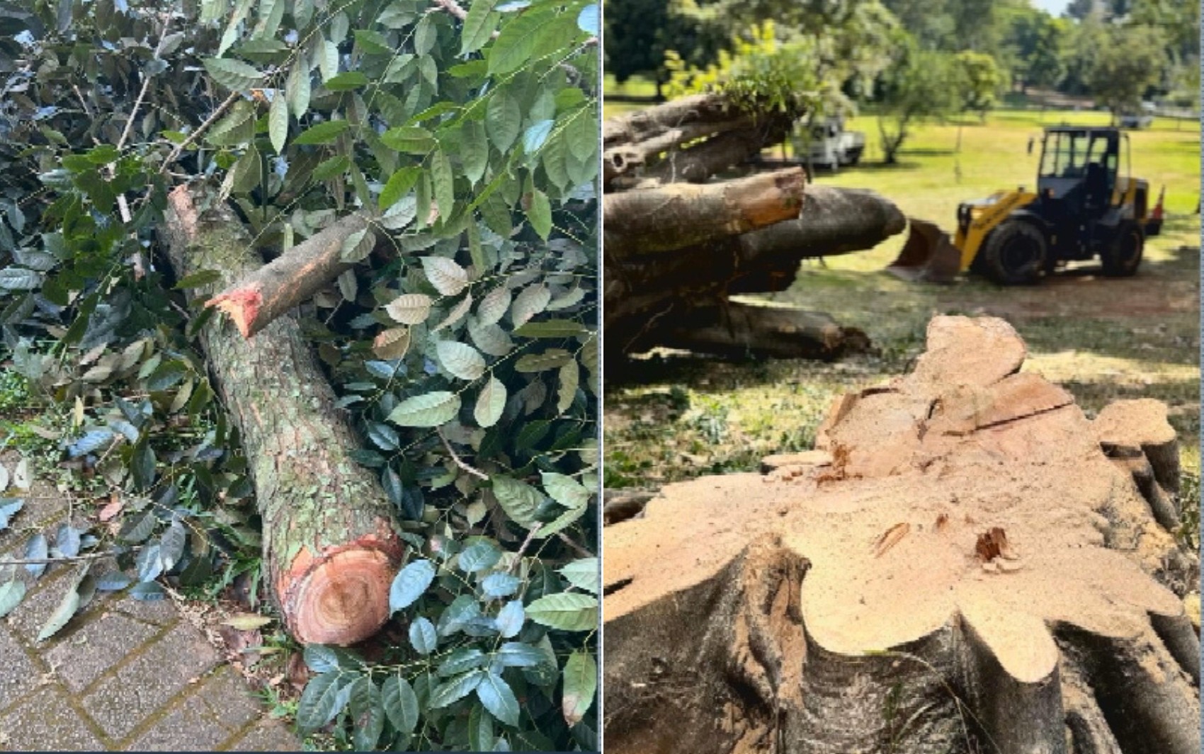 foto Not&iacute;cia Caldas Novas
